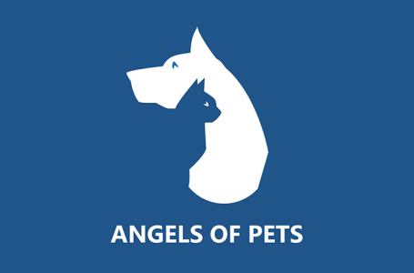 angels of pets logo